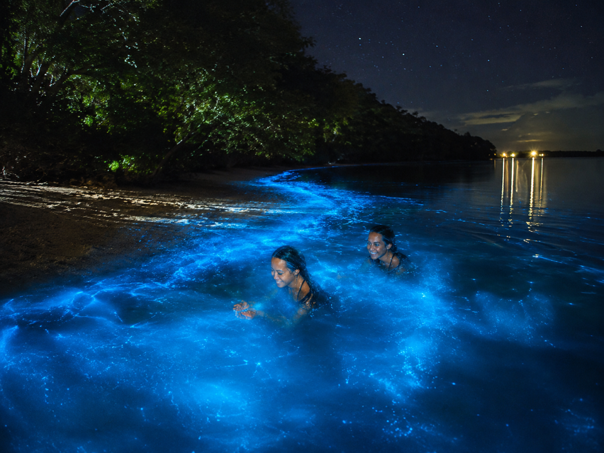 Luminous Lagoon