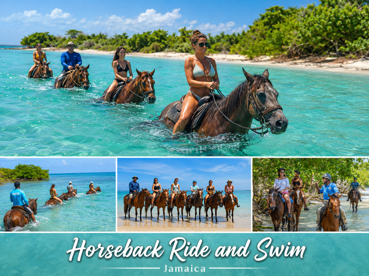 Horseback Ride and Swim